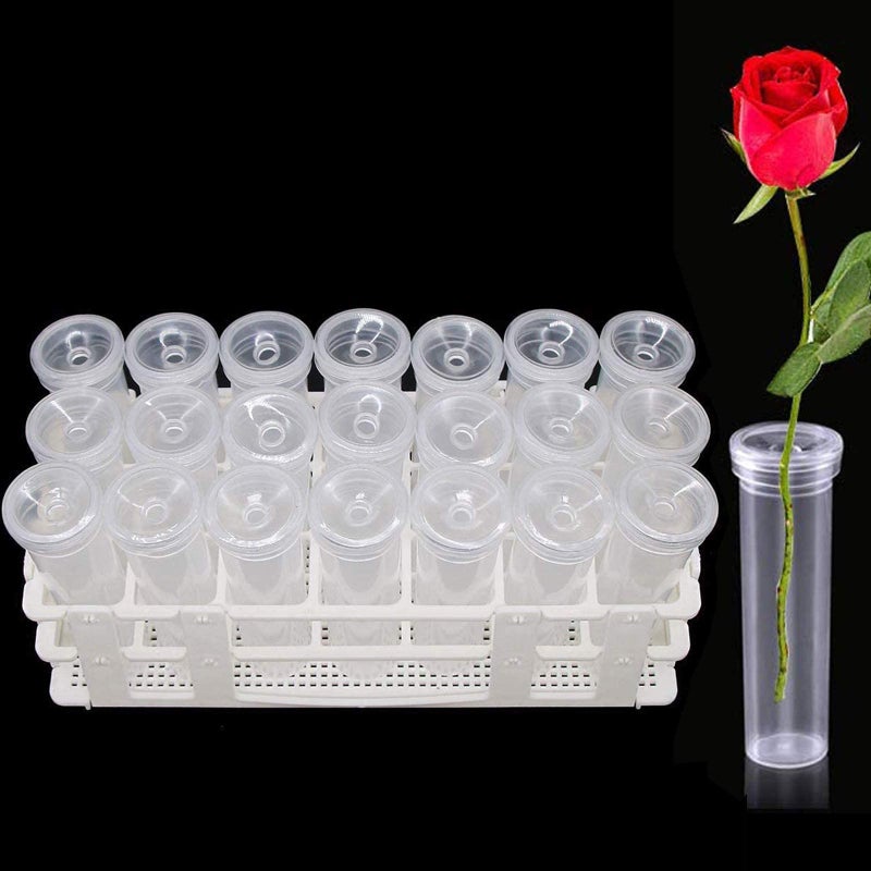 Tirifer 21 Pack 60ml Large Floral Tubes with Rack Holder for Milkweed Cuttings, Raising Caterpillars, Monarchs, Butterflies, Flower Arrangements - Image 2